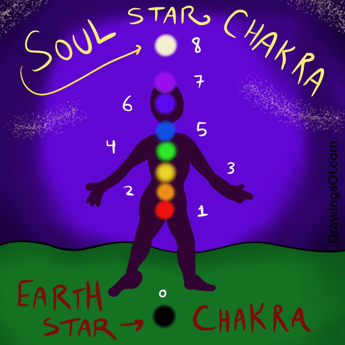 The 8th Chakra is the Soul Star Chakra.