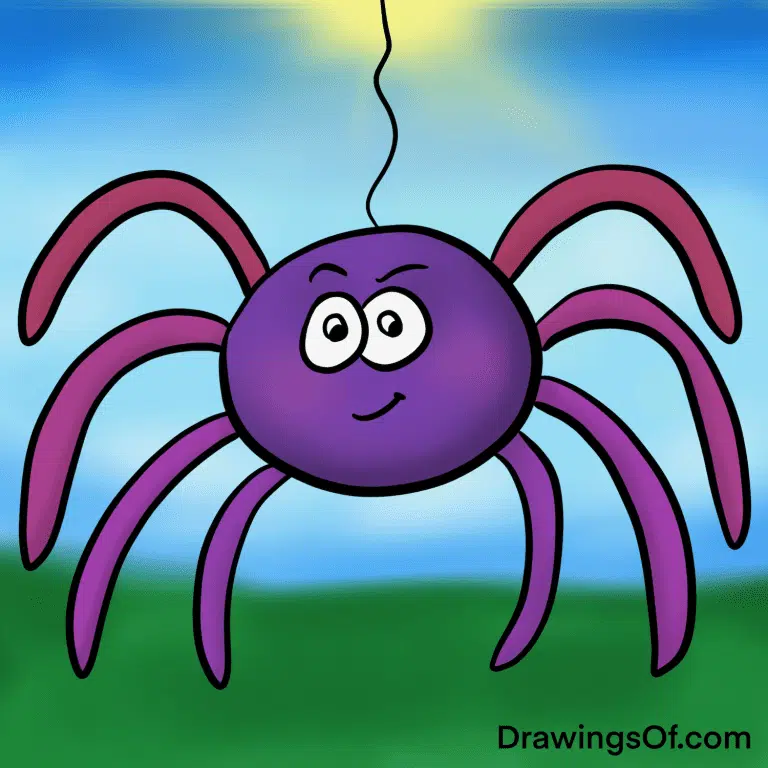 Spider drawing