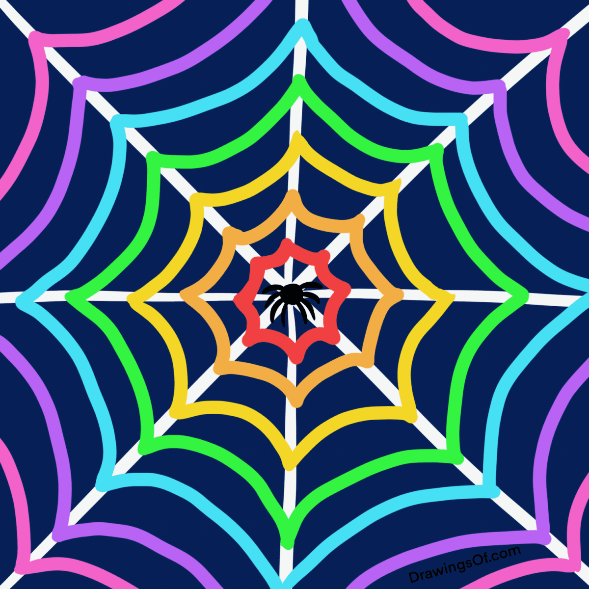 Spider web drawing